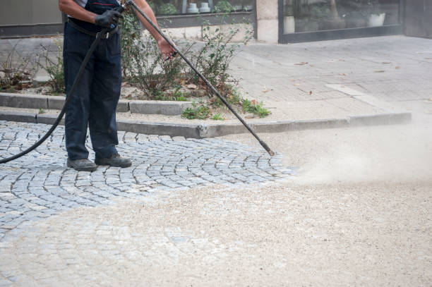 Best Spring Cleaning  in Prospect Rk, PA
